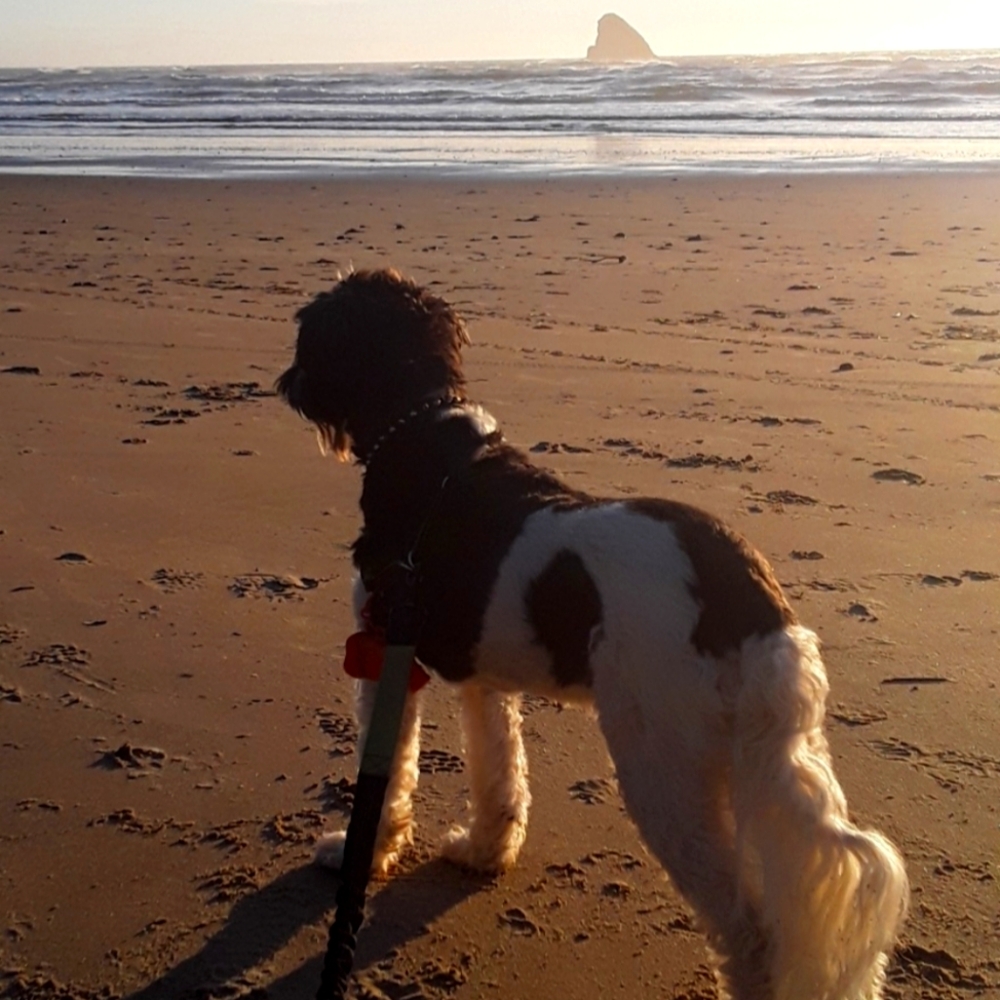 Meet your Posher, Lana